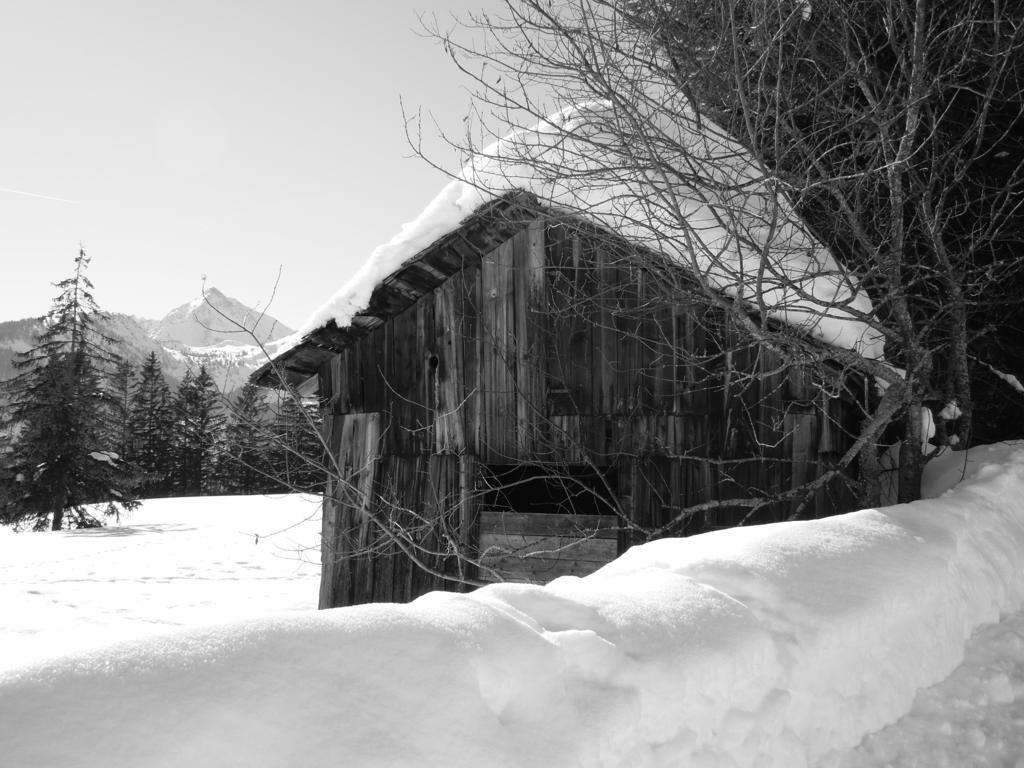 Austria Ferienwohnungen Tannheim Exterior foto