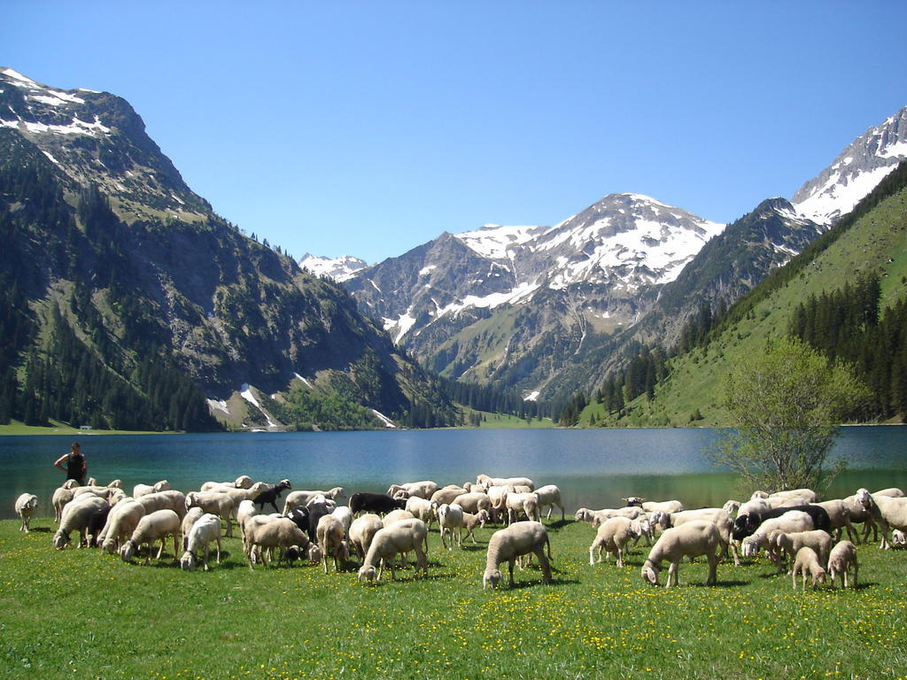 Austria Ferienwohnungen Tannheim Exterior foto